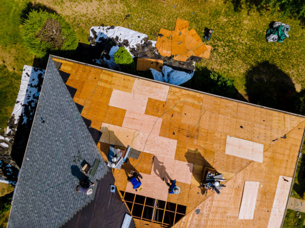 Best Roof Gutter Cleaning  in Soperton, GA